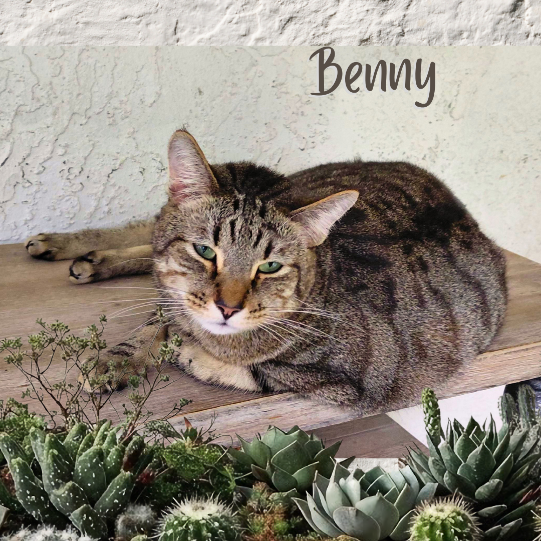 Benny