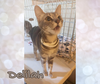 Delilah - Photo 3