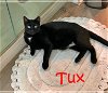 Tux