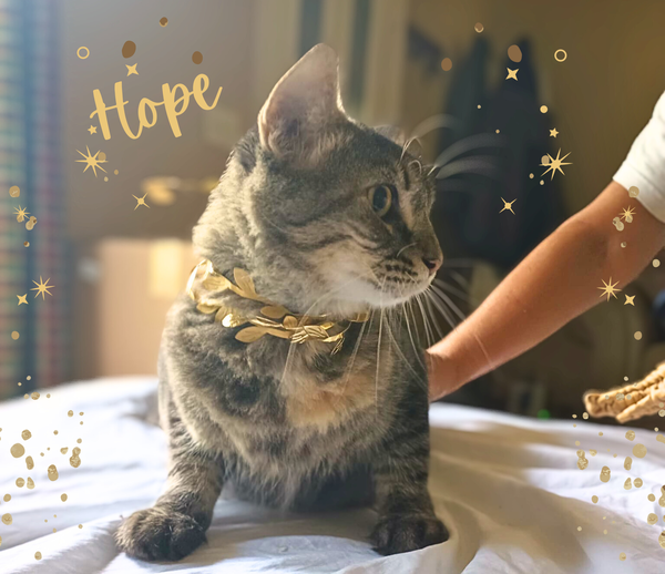 Hope