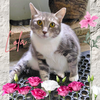 Lola - Photo 1
