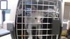 adoptable Cat in OKC, OK named A459251
