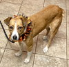 MAGGIE - Photo 1