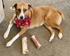 MAGGIE - Photo 1