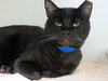 SOOT - Photo 1