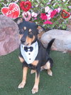 BRUNO - Photo 1