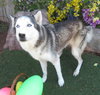 STORMY - Photo 1