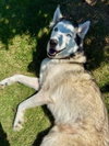 STORMY - Photo 1