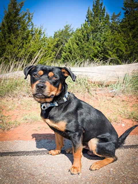 BENNY