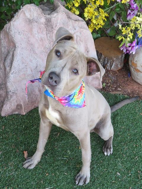 Ernie