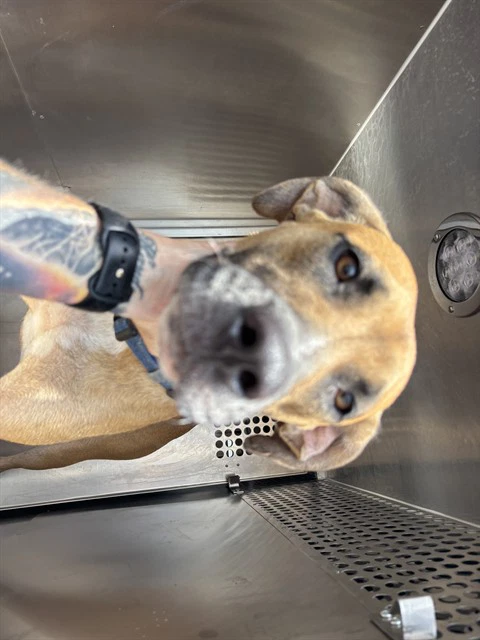 Unknown