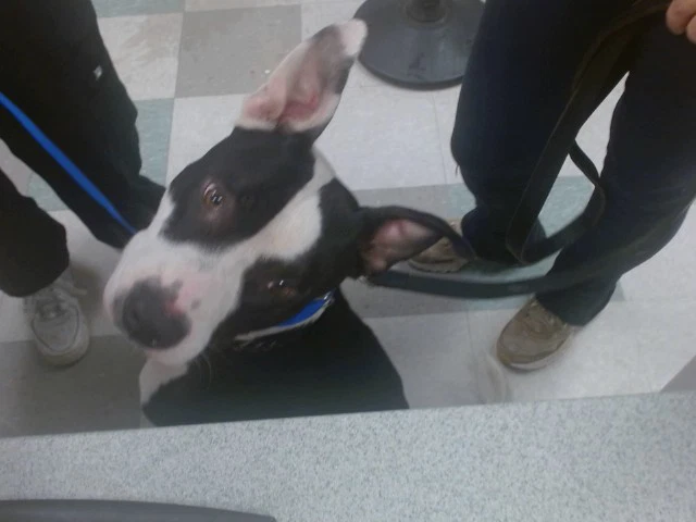Bruce