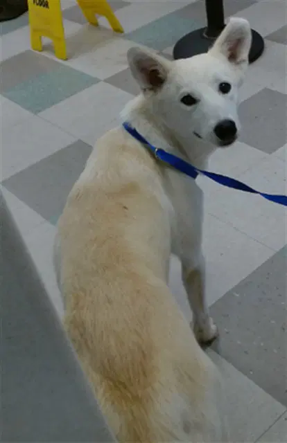 Max image 1