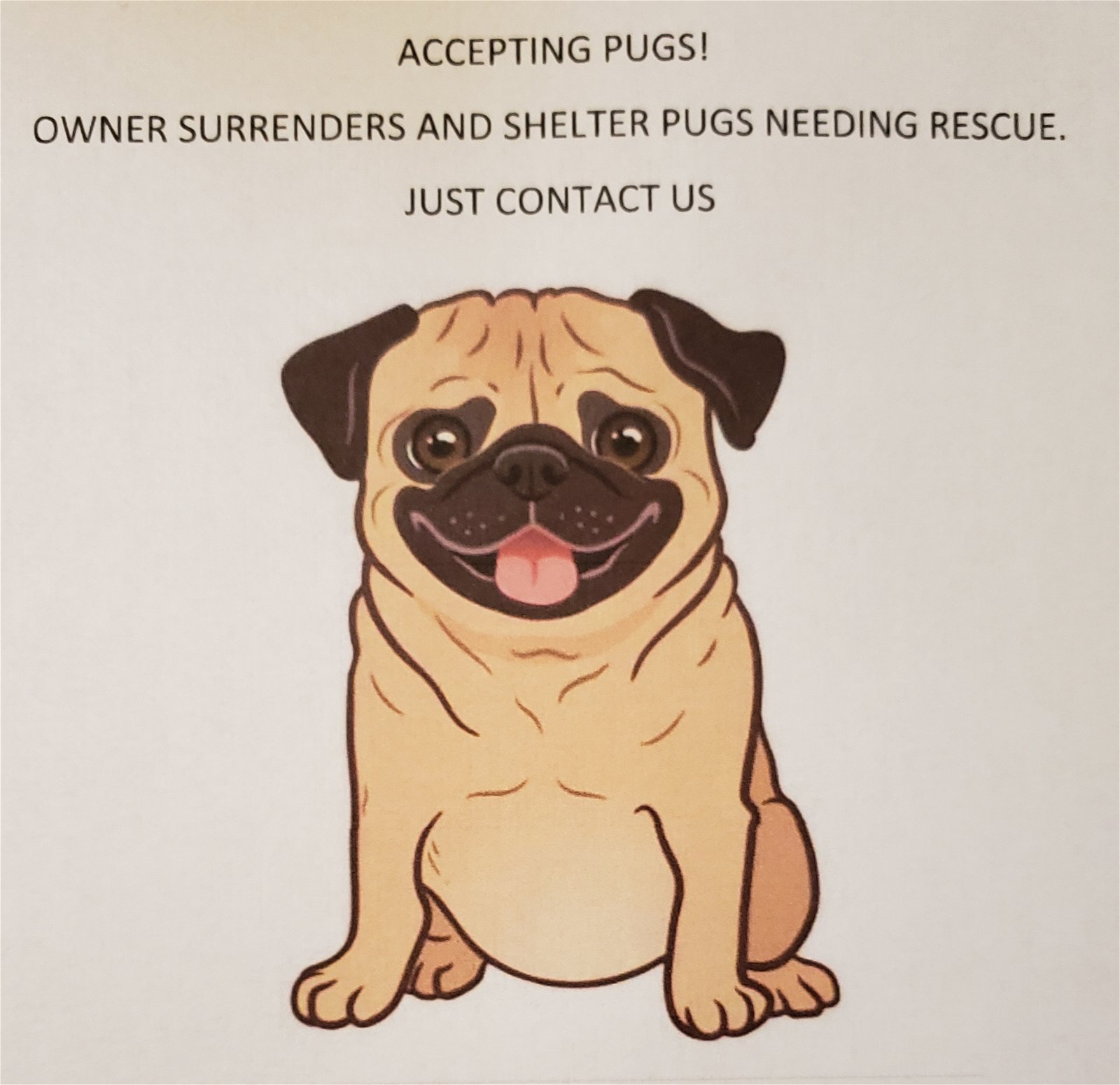Accepting pugs into foster care