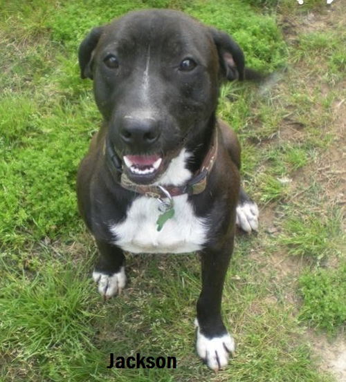 Jackson