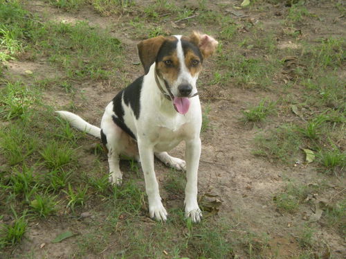 Cruz