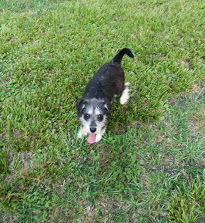 Spanky