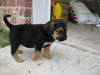 Lilly