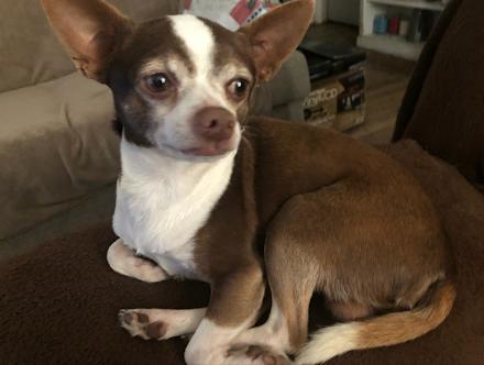 Gumbo