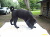Titch