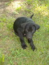 Charlie