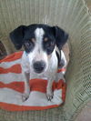 Patches