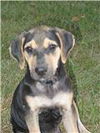 Buster