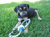 Buster