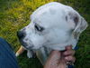 Thelma
