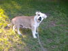 Thelma