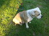 Thelma