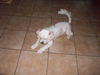 Molly