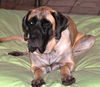 Lucy