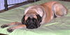 Lucy