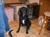 Walter
