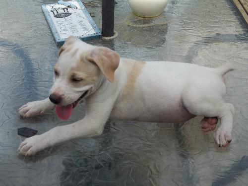 Buster