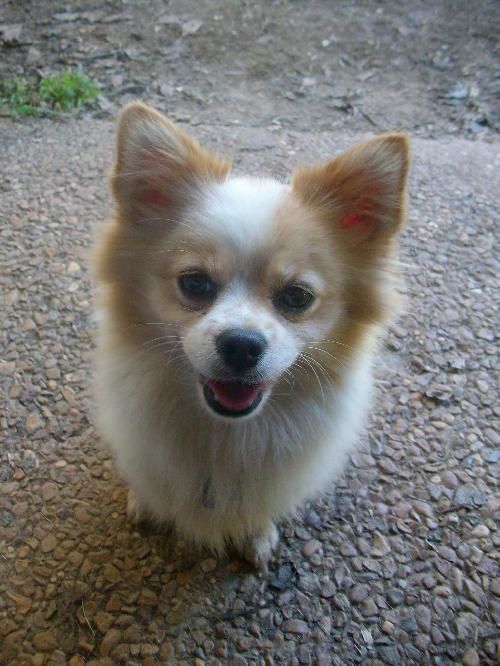 Sam