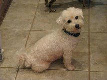 Chester