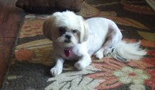 Zoey