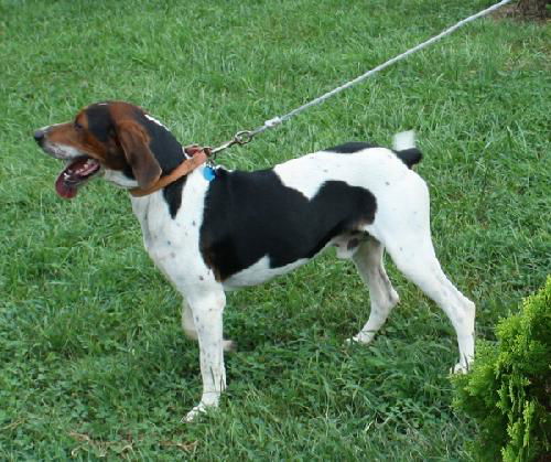 Buster Brown