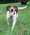 Buster Brown