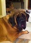 Big Mama