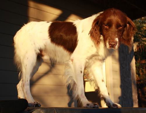 Tucker
