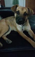 Ellie