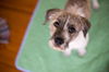 Charlie