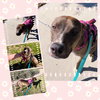 Gorgeous GOLDIE - Photo 1