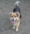 Maisy