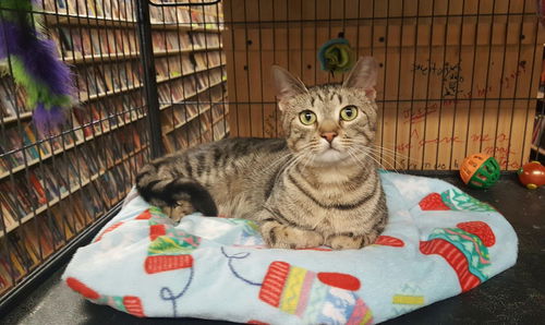 Zeke-Come See Me At The Cupboard Maker Bookstore