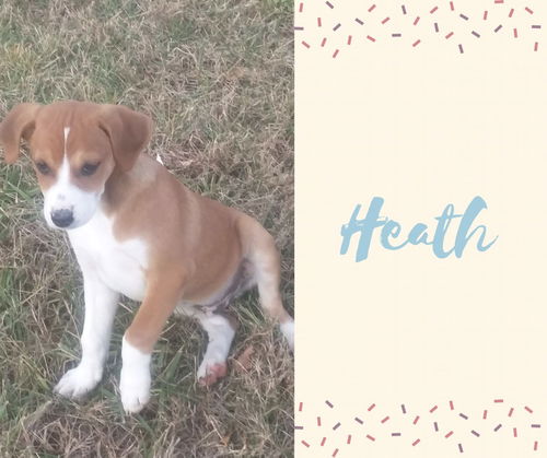 Heath