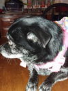 Ethel